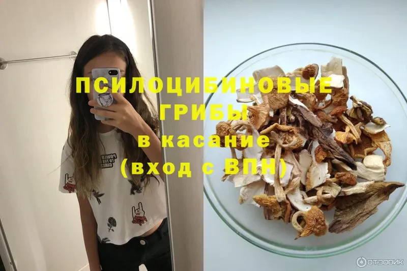 Псилоцибиновые грибы MAGIC MUSHROOMS  как найти   Еманжелинск 